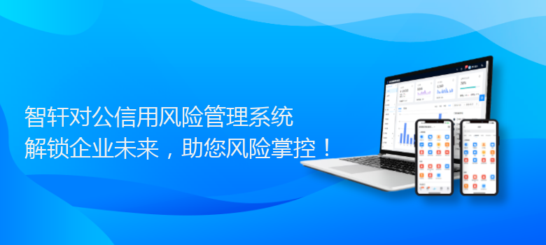 对公信用风险管理系统